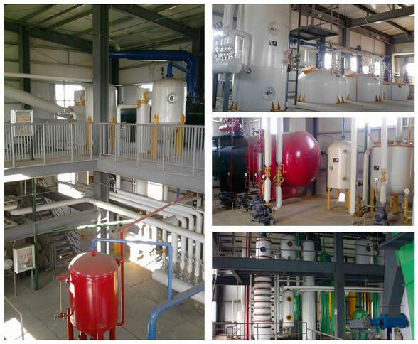 small edible oil extraction equipment