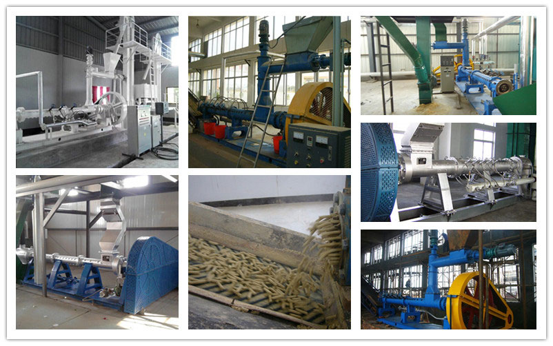 oilseed puffing machine for sale