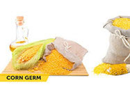 corn germ