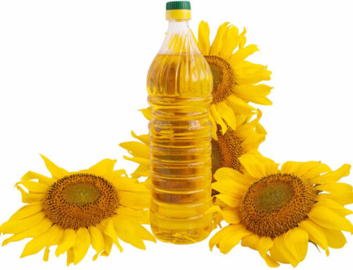What Is Edible Oil Refining Process