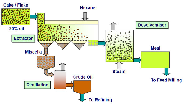 how edible oil be extracted from solvent oil extraction equipment