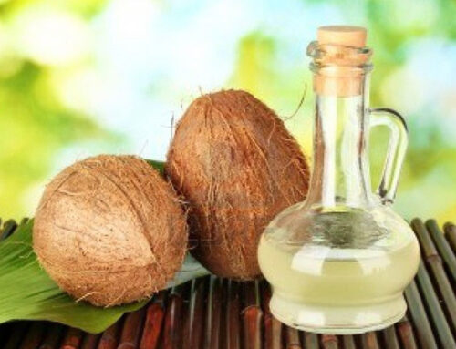 Press Coconut Oil from the Dried Meat of Coconut-Copra
