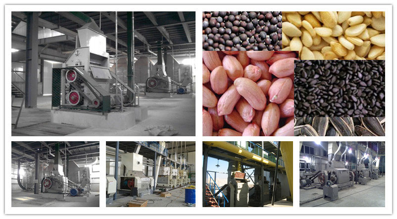 oilseeds crushing machine in oil prodcution mill