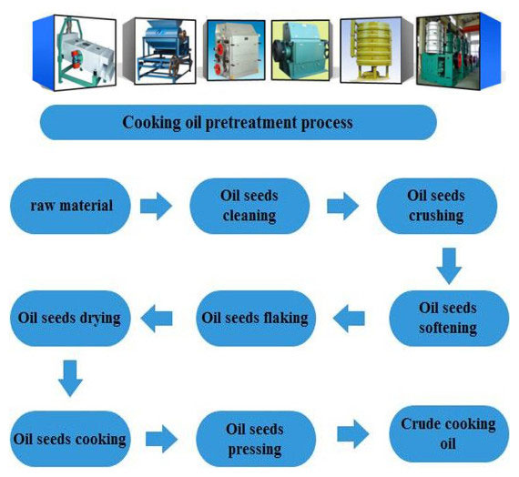 oilseeds pretreatment procedure and main preprocessing machines