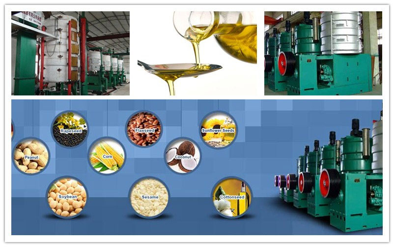 peanut oil pressing equipment in peanut oil production line