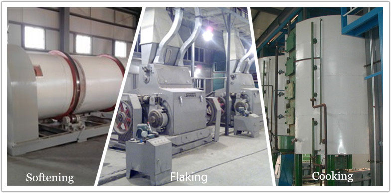 peanut softening, flaking, cooking equipment for preprocessing of peanut oil production line