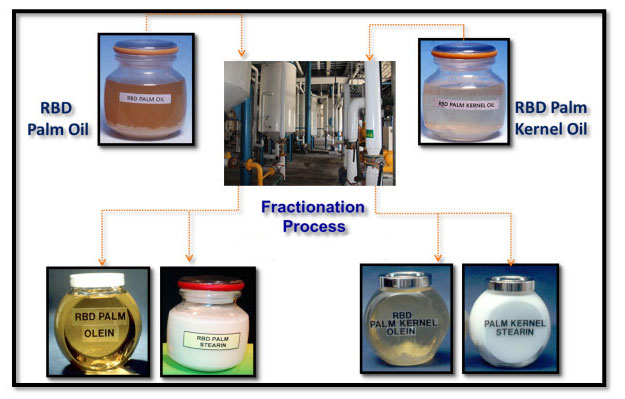 plam oil fractionation process