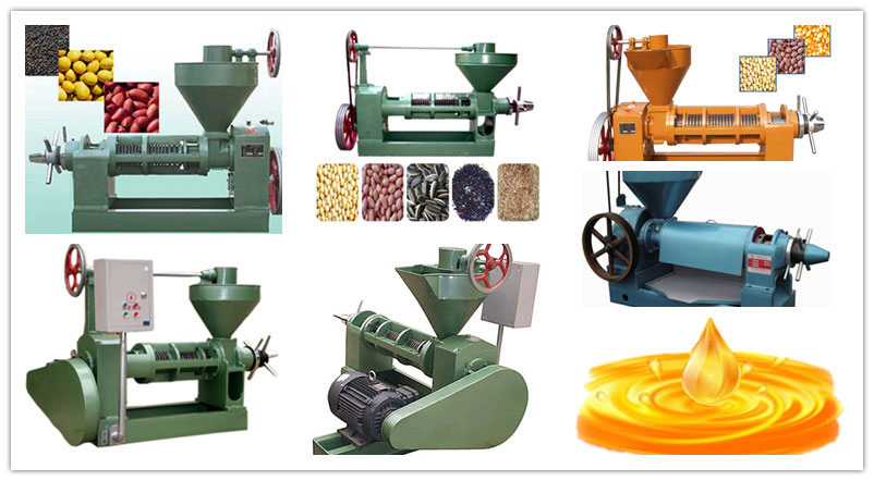 screw oil press machines for oil mill plant