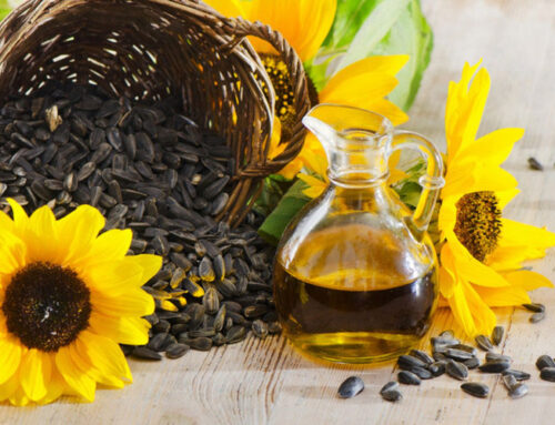 Linoleic, High Oleic & Mid Oleic Sunflower Oil Press