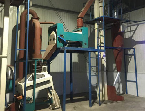 Oil Seeds Cleaning Equipment