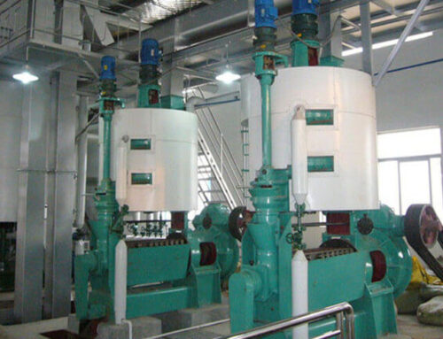 Cottonseed Oil Extraction Plant