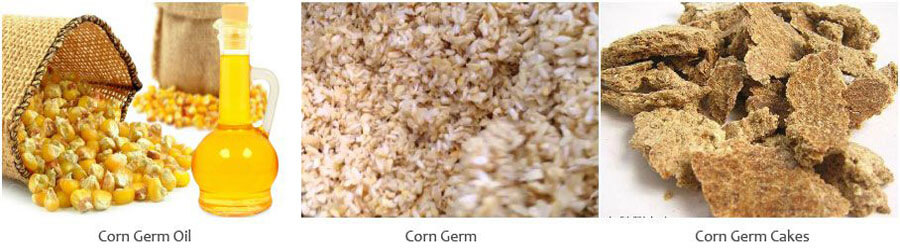 Corn Germ Oil Production