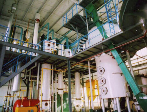 Corn Oil Extraction Plant
