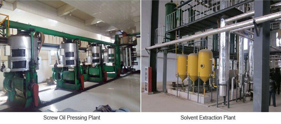 Large and Small Corn Oil Extraction Plants