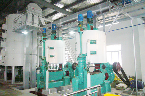 cottonseed oil pressing machine