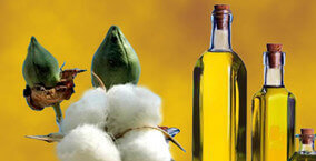 edible cotton seeds oil