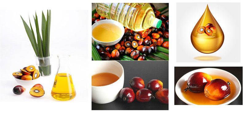 palm kernel oil