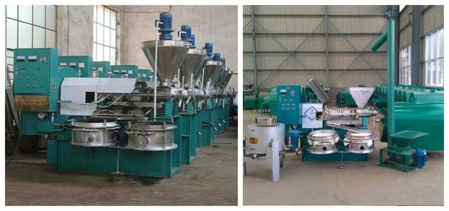 rapeseed oil mill machine for sale