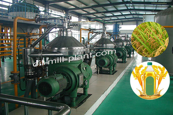 Rice Bran Oil Extraction Plant Rice Bran Oil Making Machines