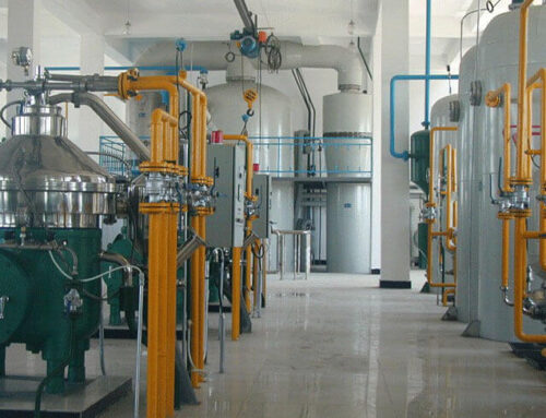 Rice Bran Oil Extraction Plant