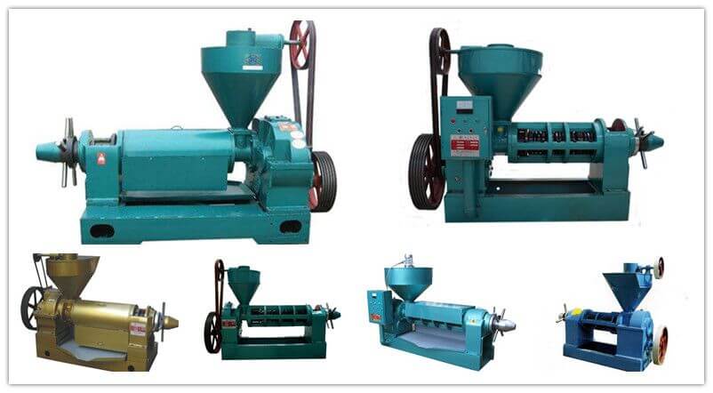 safflower seed oil press machines