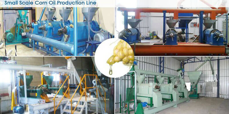 Small Corn Germ Oil Production Lines Small Corn Oil Plants