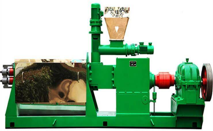 tea seed oil press machine-double screw cold pressing