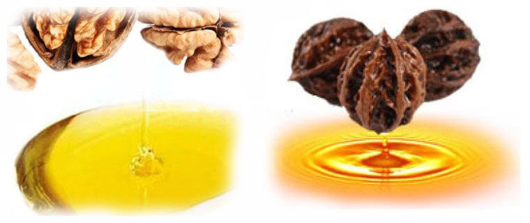walnut oil produced by hydraulic oil press machine