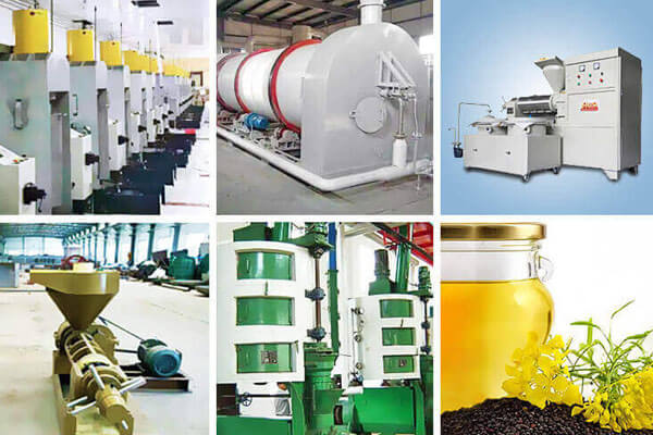 Canola Oil Production Line Rapeseeds Oil Plant