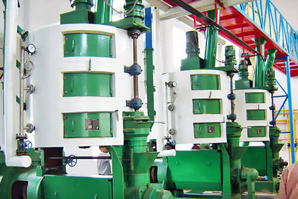 Canola Rapeseed Oil Press Machines Canola Oil Mill Plant