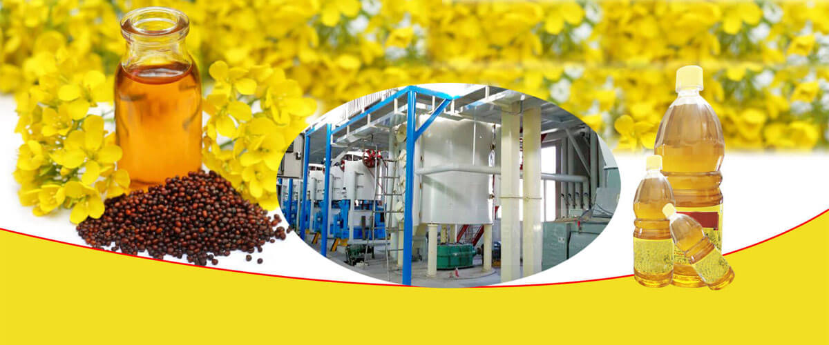 Canola Rapeseed Oil Production Line Canola Oil Mill Plant