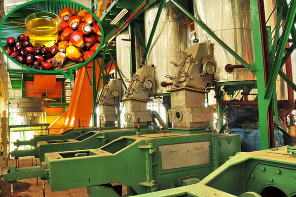 Palm Fruit Oil Press Machine