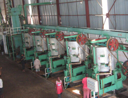 Palm Kernel Oil Plant