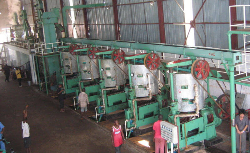 Palm Kernel Oil Extraction Machines-in Sierra Leone