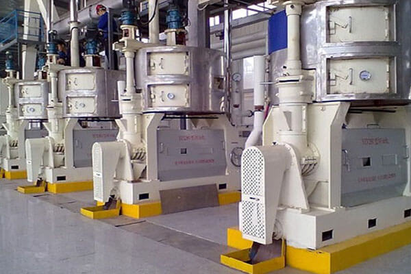 Palm Kernel Oil Pressing Machines