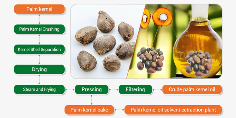 Palm Kernel Oil Production Line Working Process