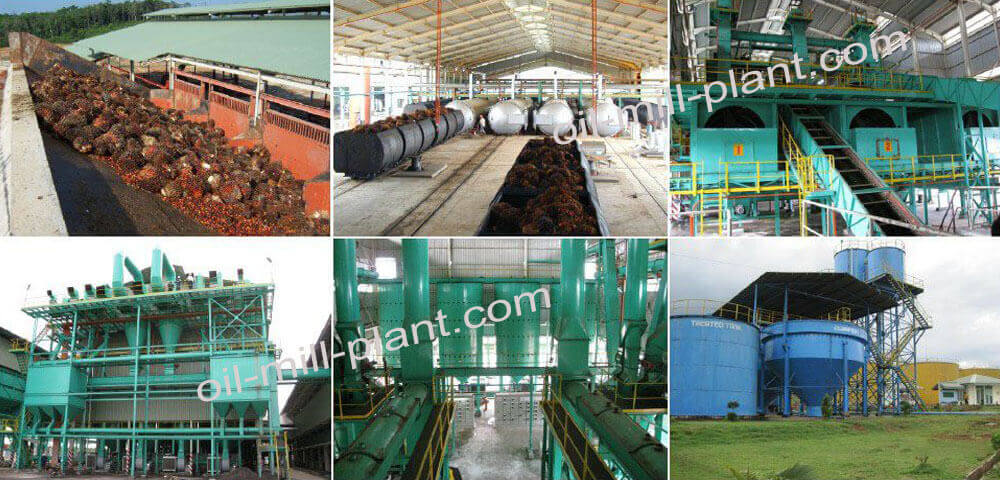 Palm Fruit Oil Mill Plant Project Our Successful Palm Oil Production Project In Malaysia