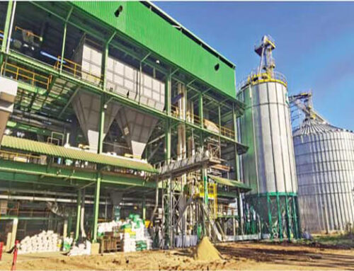 1000TPD Soybean Pretreatment Oil Solvent Extraction 200TPD Oil Refining Project In Bolivia