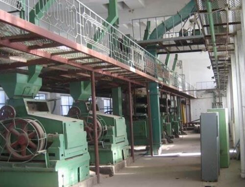 30T/D Complete Peanut Oil Mill Plant Launched In Sudan