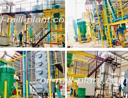 30T/D Peanut Shelling Oil Pressing And Oil Refining Project In Senegal