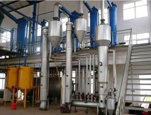 50T/D Cottonseed Oil Solvent Extraction Processing Line In Tajikistan