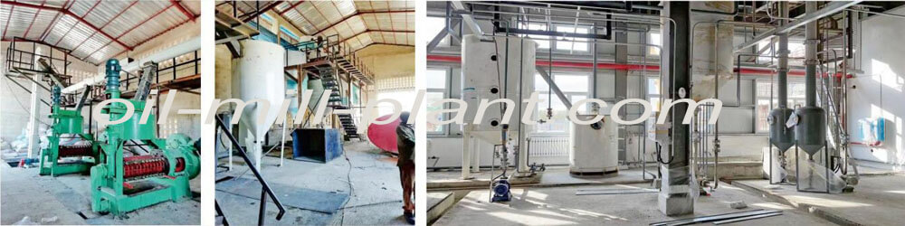 10-ton per day cottonseed oil pressing 15-ton per day oil refining project in Nigeria