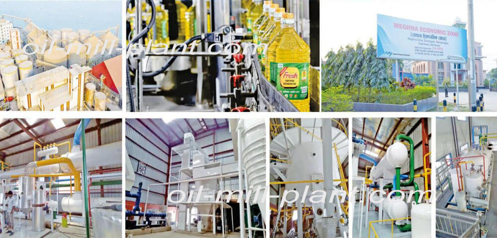 100 t/d mustard oil cold pressing and cold filtering project in Bangladesh
