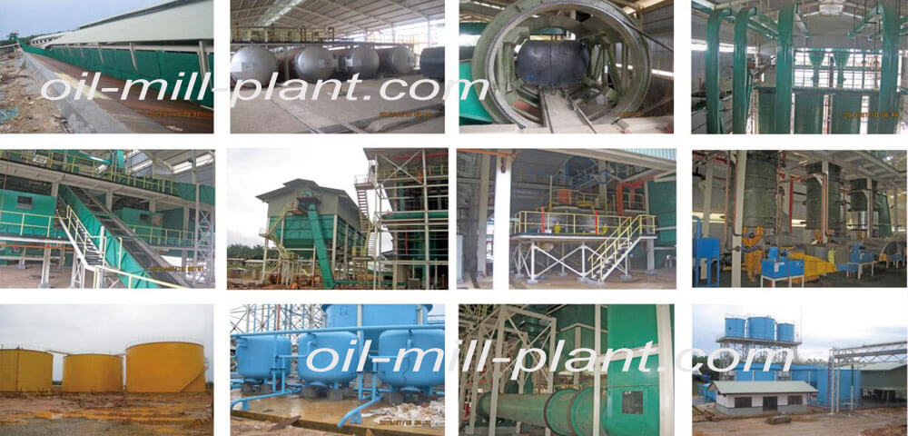 30-80 t/d 6 palm fruit oil pressing production lines in Indonesia