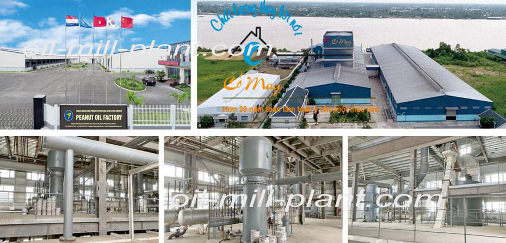 100 ton/day rice bran oil production project in Vietnam